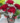 Buquê com 4 rosas vermelhas